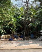 cần tiền bán gấp lô đất vàng 110m2 giáchỉ 4tỷ9 ngay chợ đầu mối bình điền. dân đông tiện ích đầy đủ