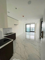 cần cho thuê sunshine sky city q7 gồm 2pn 2wc, đẹp xuất sắc, cạnh phú mỹ hưng vô ở ngay,