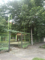 cho thuê mặt bằng kinh doanh 1.100m2, 30m mặt tiền số 278 võ thị sáu, p.xuân hoà. lh 