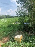 chính chủ cần bán nhanh lô đất vườn đẹp củ chi hơn 5000m2 giá cực tốt 22,5 tỷ