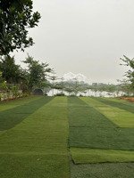 bán đất bám hồ thiên nga, dt 400 m2 tại yên bài, ba vì, hà nội đẹp, nhiều tiện ích