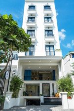 ngay chợ tân định! bán tòa chdv mt hai bà trưng, q. 1, 5.5x20m hầm + 7t - hđt: 150tr/th, giá 39 tỷ