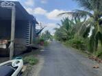 5x38m đất mặt tiền huyện lộ 38,Tam Hiệp,Châu Thành,Tiền Giang.