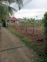 Bán đất đường xe hoa lâm xã Sơn Đông.Gía thương lượng trực tiếp