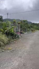 2,2 SÀO CAFE LỘC ĐỨC, BẢO LỘC - ĐƯỜNG NHỰA KHU DÂN CƯ GIÁ 780TR CẢ LÔ