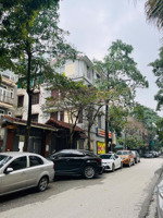 siêu phẩm biệt thự phân lô- ô tô tránh- vỉa hè- kinh doanh- thoáng trước sau- đất vượng khí làm ăn
