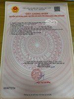 đất đẹp cách biển con đường rừng siêu đẹp tại hồ cốc - giá hấp dẫn