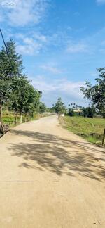  ĐƯỜNG 7,5M – ĐẤT Ở 100% – PHÁP LÝ RÕ – GIÁ MỀM TRONG KHU