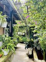 BÁN CĂN NHÀ CẤP 4 SÂN VƯỜN THOÁNG MÁT ĐƯỜNG HOÀNG DIỆU