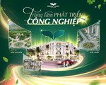 nước rút cuối năm thường thắng central park tăng tốc đón tết 2026 công trường thường thắng