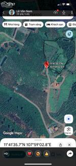 CHÍNH CHỦ CẦN BÁN GẤP LÔ ĐẤT VƯỜN CÀ PHÊ NGAY XÃ TÂN LÂM, DI LINH , LÂM ĐỒNG