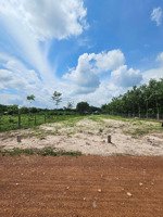 lô đất sào giá tốt cơ hội đầu tư sinh lời nhanh