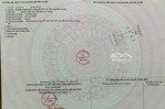 bán gấp đất trần phú, chánh nghĩa, thủ dầu một, bình dương, 10,5 tỷ, 100m2