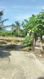 bán lô đất đẹp thôn võ dõng xã vĩnh trung