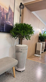 bán căn hộ chung cư tại việt đức complex, 11,7 tỷ, 138m2, 4pn, 3wc, đầy đủ nội thất, hướng đn