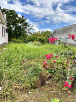 đất thổ cư shr 117m2 (5mx26) hẻm xe hơi tỉnh lộ 826c xã phước lại cần giuộc long an chỉ 1,45 tỷ