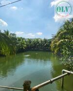 CHO THUÊ NHÀ XƯỞNG – TÂN AN, VĨNH CỬU, ĐỒNG NAI – 4.500m²