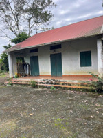 chính chủ do k có nhu cầu sử dụng cần bán đi hơn 2000m2 đất đồng bèn, đông xuân, quốc oai