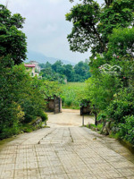 cần bán lô đất 5000m2 sẵn khuôn viên nghỉ dưỡng vận hành ngay tại phú cát, hà nội