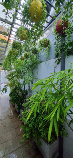 bán nhà đẹp thổ cư phường tam hiệp gần bv đồng nai 98m2