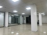 cho thuê văn phòng 250m² mặt phố dịch vọng cầu giấy, giá cạnh tranh