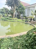 CHỦ NGỘP – BÁN GẤP NHÀ THÁI VƯỜN NGHỈ DƯỠNG BẾN LỨC 943M2, 8 TỶ, SHR