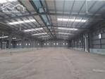 Cho Thuê Kho Xưởng 3.300m2, Tại Kcn Tân Kim Mở Rộng, Cần Giuộc, Long An , Giá Thuê : 3 Usd/m2