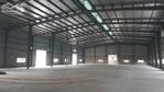 Cho Thuê Kho Xưởng 10.880m² Trong Kcn Long Hậu, Cần Giuộc, Long An