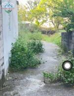 Bán đất Cao Xá Cao Dương Thanh Oai, 55m2 nở Hậu, Gần ngã tư Vác, nhỉnh 2 tỷ