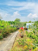 bán đất vườn tại xã minh hưng, 180 triệu, 1054m2 giá siêu hời