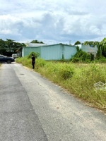 bán 3600m2 đất lúa mặt tiền đường phan đông sơ, xã bình tâm, tp tân an - dt: 44 x 99 hậu 19m2