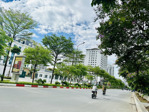 hiếm có, bán 1400m² sàn văn phòng khu trung kính, sổ đỏ lâu dài, cho thuê 6 tỷ/nam, 120 tỷ tl