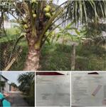 Mặt tiền lộ nhựa hl173 cũ Phong nẫm. Bến Tre. Gần kcn Phong Nẫm