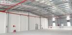 2 xưởng mới dựng trong KCN Nam Cầu Kiền, 1300m2 và 3000m2 PCCC tự động, giá chỉ 110.000/m2