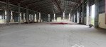 cho thuê kho dt: 20.000m2 mới đẹp, pccc tự động tại thạnh hóa, long an, giá thuê: 75k/m2