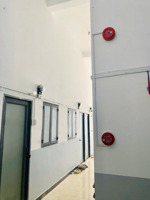 26tỷ- chdv quang trung p8 -12m x 24m cn 250m2 - trệt 5 tầng- 43p hxh 6m