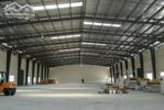 Cho Thuê Kho Dt: 20.000m2 Mới đẹp, Pccc Tự động Tại Thạnh Hóa, Long An, Giá Thuê: 75k/m2