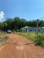 kẹt tiền bán gấp lô đất gần đt749b gần hồ dầu tiếng bình dương (550 triệu/1200m2)