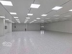 cho thuê 1.300m² nhà xưởng trong kcn mỹ phước bến cát bình dương | pccc tự động | điện 400 kva