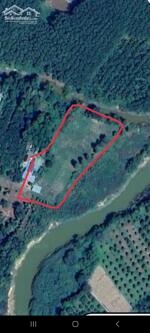 Cần gả lô đất tâm huyết