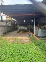 giáp gv-lo đất đẹp-hxh 6m ngủ-sát mặt tiền-137m2-ngang gần 6m-tl 19, p.an phú đong q12-chỉ 6tỷ8 tl