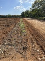 gần 2ha đất sào giá rẻ giáp khu cn 4200ha. kế bên tuyến 2