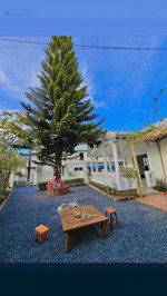 xoay tới xoay lui dì không đủ vốn đành bán lỗ 600m2 ven đà lạt chỉ 390tr