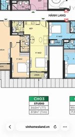 hàng hiếm studio hoa hậu mã căn: zr3xx03