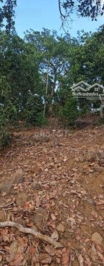 bán đất xã kim long. tp hcm.13.000m2.có sẵn 200m2 thổ cư.giá cực kỳ đầu tư chỉ 3,7tr/m2