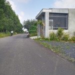 đất mặt tiền đường nhựa an viễn trảng bom đồng nai gần kề kcn giang điền và đt 777 - (phùng hưng)