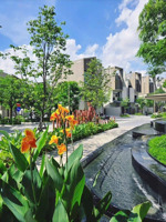 bán biệt thự giá tốt nhất the orchard giỏ hàng chủ đầu tư. 160m2 đất. giá 15,2 tỷ. lh 