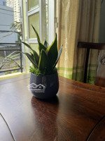 cho thuê phòng ở mt đường số 10, kdc trung sơn, bc, đ/d sài gòn mia, 5tr/th. linh 