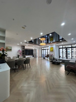 bán nhanh cặp đập thông dt 250m-4 ngủ 4vs- tại royal city- căn vòm , full nội thất lh 