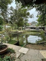 người thân em cần tiền bán gấp mảnh đất để đi nước ngoài tại tân dân- sóc sơn - hà nội.